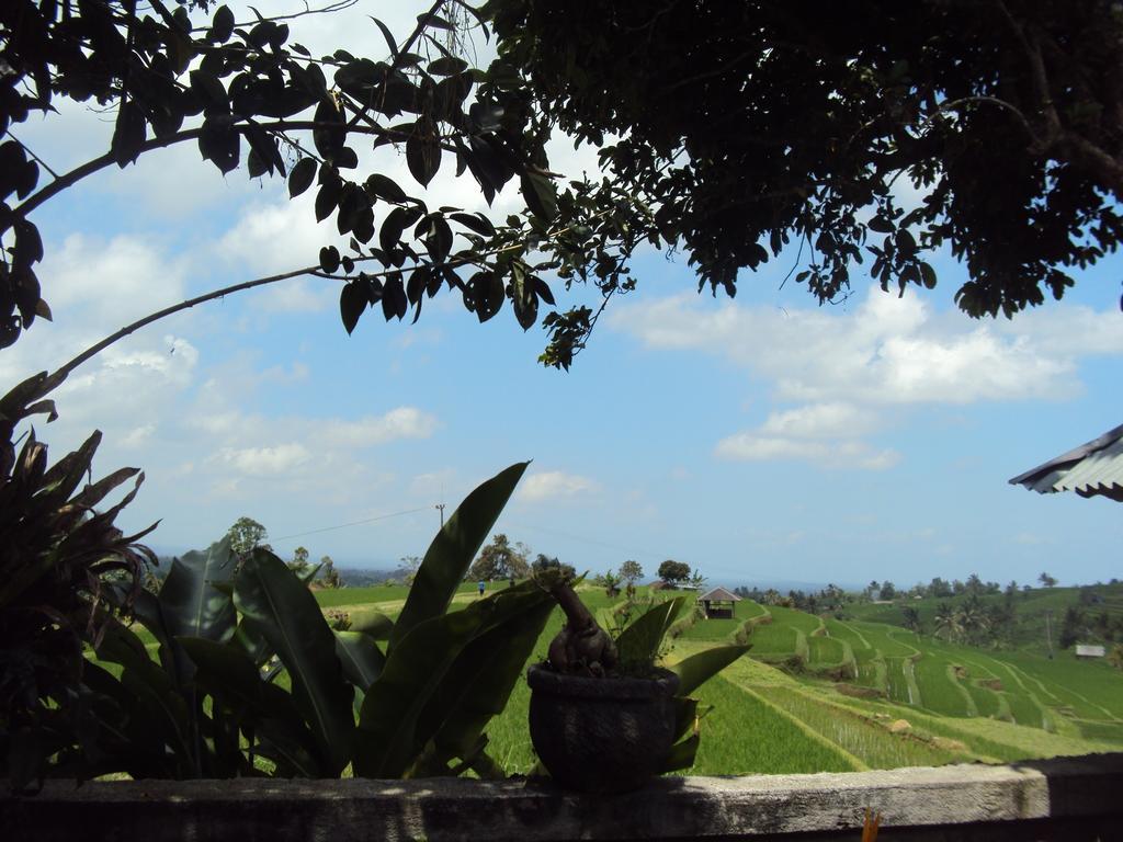 Teras Subak Jatiluwih Apartment Exterior photo