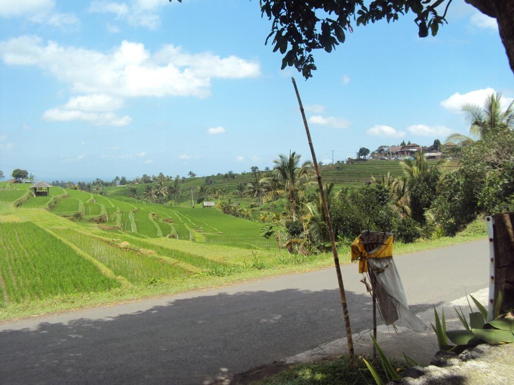 Teras Subak Jatiluwih Apartment Exterior photo